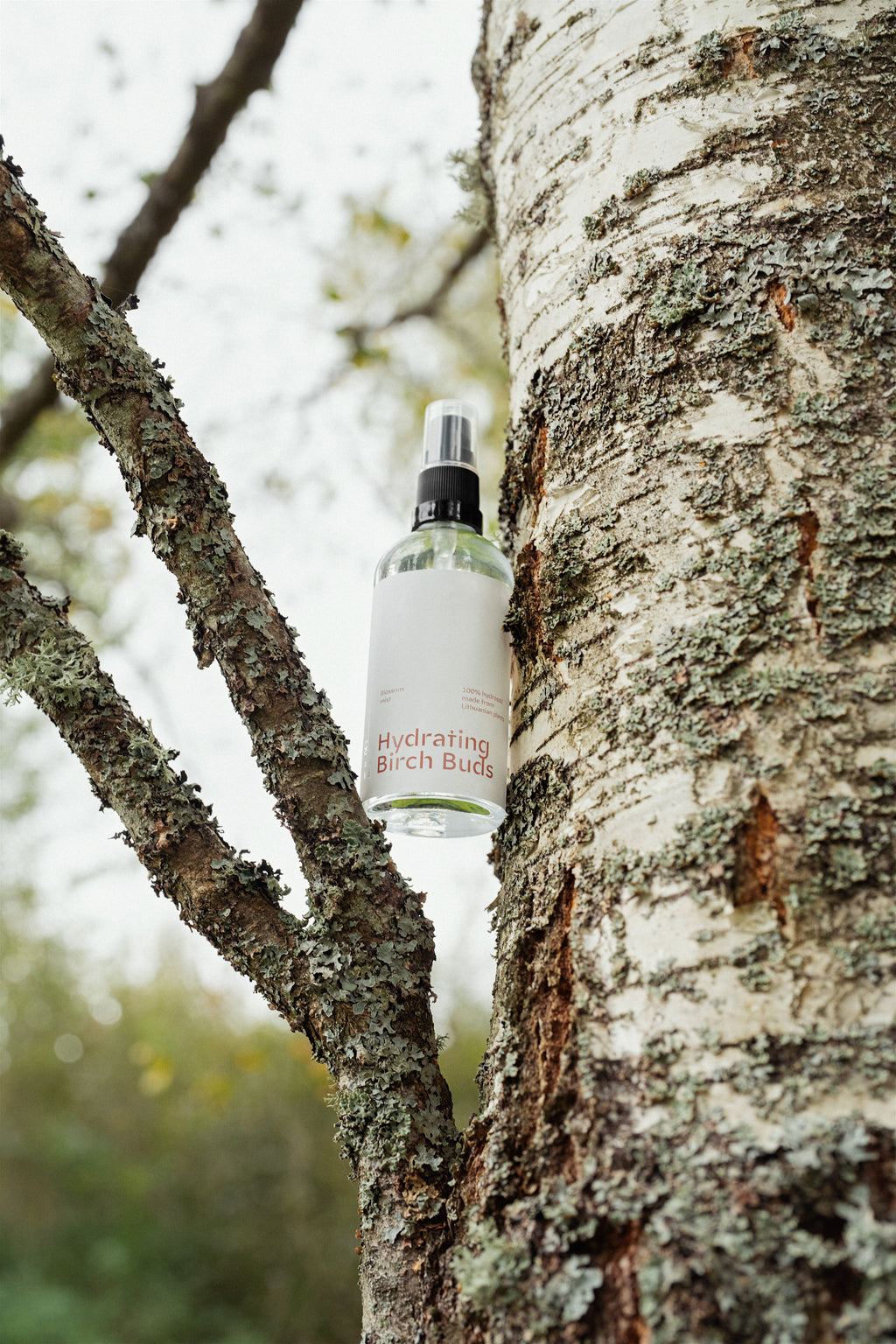 Hydrating birch buds mist