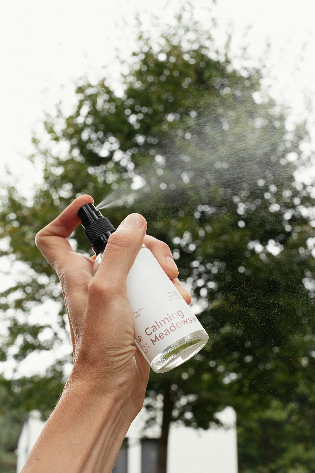 Calming meadowsweet mist
